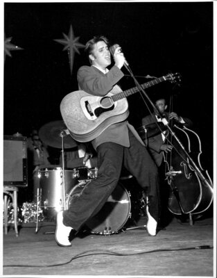 TN+Elvis-Presley-Memory.jpg