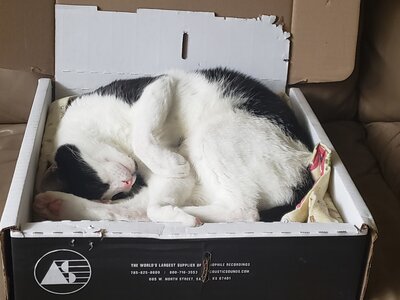 20190817_085754.jpg