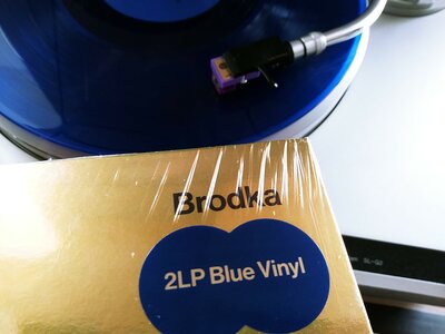 20191008_120008-1.jpg