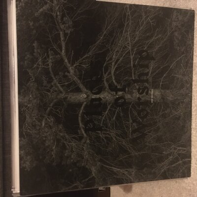 DCFFF183-7D1A-4480-AE5B-FDC1BCA76445.jpeg