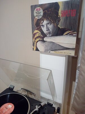 simply red-picture book.jpg