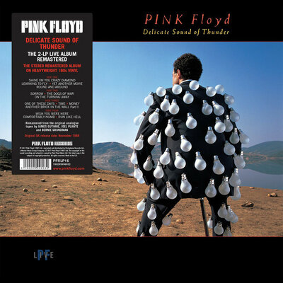 Pink Floyd ‎– Delicate Sound Of Thunder.jpg