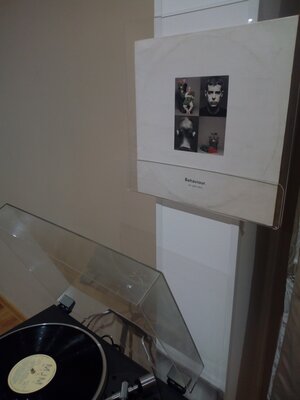 pet shop boys -behavior.jpg