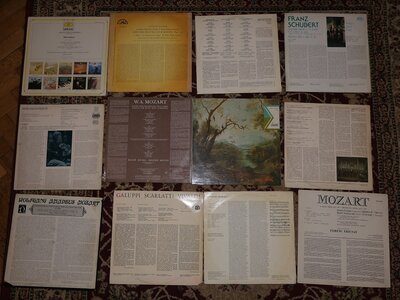 P1001028.JPG