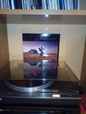 Pink Floyd- A Collection of dance.jpg
