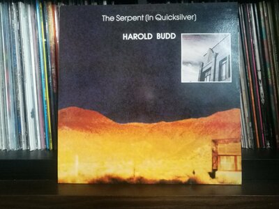 Harold Budd ‎– The Serpent -Abandoned Cities.jpg