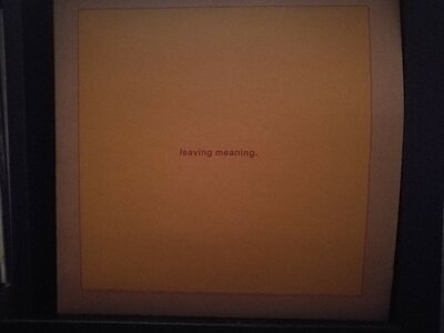 swans_leavingmeaning.jpg