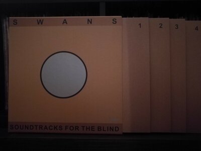 swans_sftb.jpg