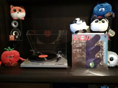 IMG_20191214_083516.jpg