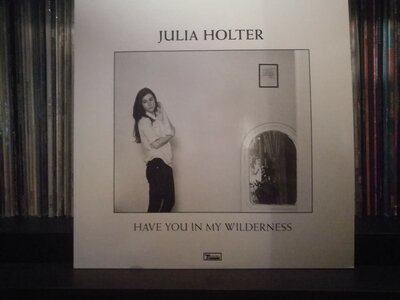 Julia Holter ‎– Have You In My Wilderness.jpg