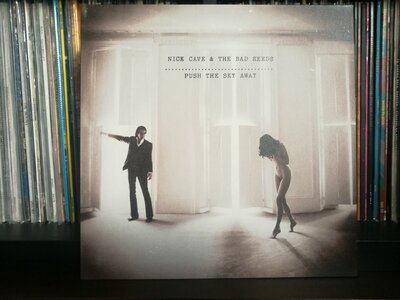 Nick Cave and The Bad Seeds ‎– Push The Sky Away.jpg
