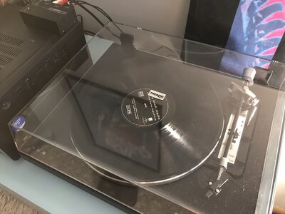 IMG_0413.jpeg