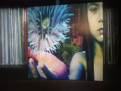 The Future Sound Of London ‎– Lifeforms.jpg