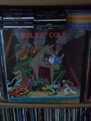 Molkie Cole.jpg