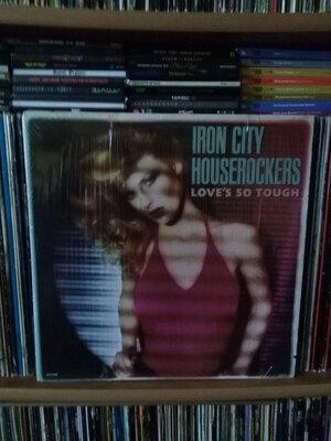 Iron City Houserockers.jpg