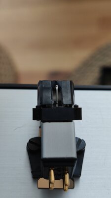 Grado 4.jpg