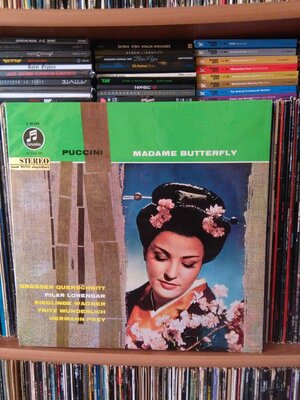 Madame Butterfly.jpg