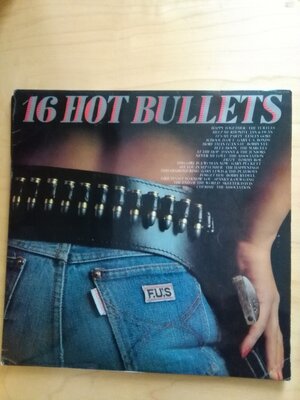 16 Hot Bullets.jpg