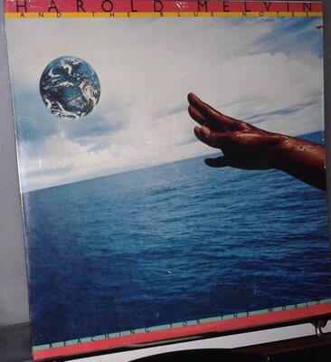 reaching for the world.jpg