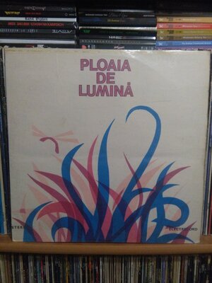 Ploaia de Lumina.jpg