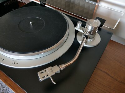 IMAG4381-20200401-19532161.jpg