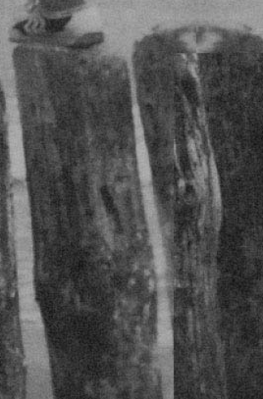 2020-04-28_1925.png