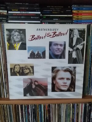 Bolland And Bolland Brotherology.jpg