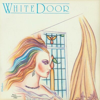 WHITE-DOOR-windows.jpg