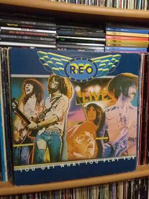Reo Speedwagon Live.jpg