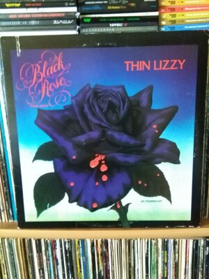 Black Rose.jpg