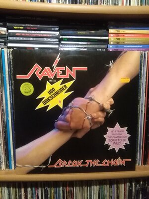 Raven 12.jpg
