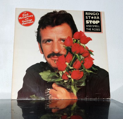 Ringo_600.jpg