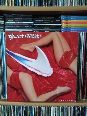 Great White ...Twice Shy.jpg