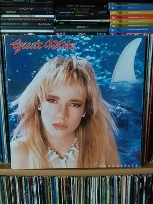 Great White Once Bitten.jpg