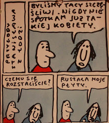 płyty.JPG