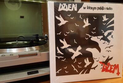 dzem.jpg