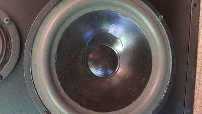 20200613_112028.jpg