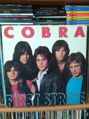 Cobra First Strike.jpg