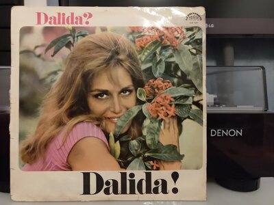 dalida.jpg