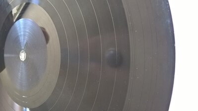 WP_20200616_14_54_47_Pro.jpg