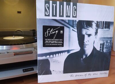 sting.jpg