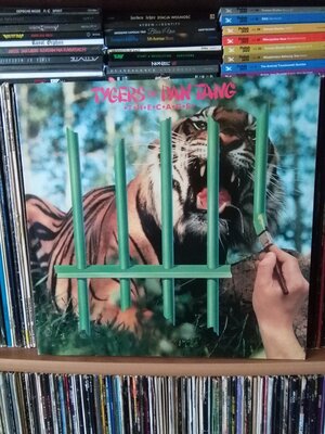 Tygers Of Pan Tang The Cage.jpg