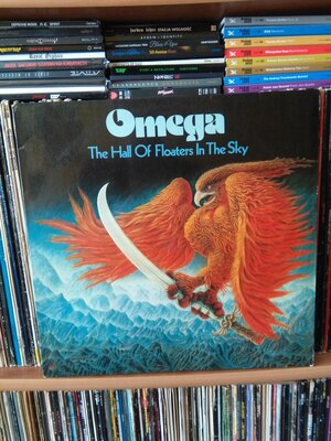 Omega The Hall Of Floaters In The Sky.jpg