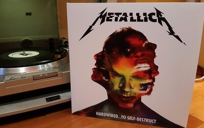 hardwired.jpg