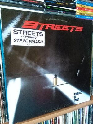 Streets Crimes In Mind.jpg