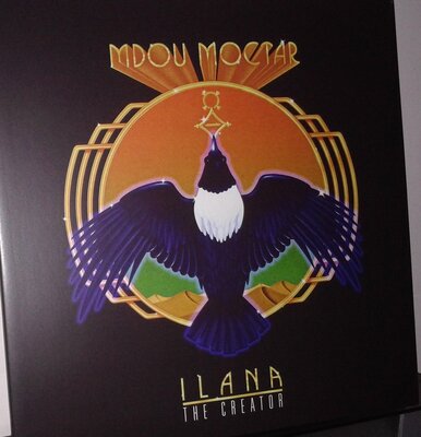 mdou moctar - ilana.jpg
