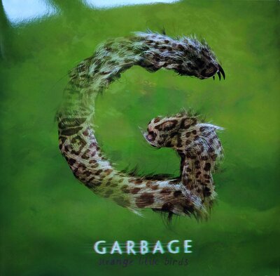 Garbage - Strange Little Birds.jpg