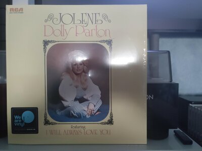 dolly.jpg