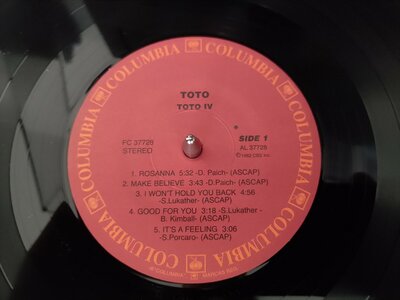 toto1.jpg