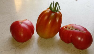 20200810_110521~2.jpg